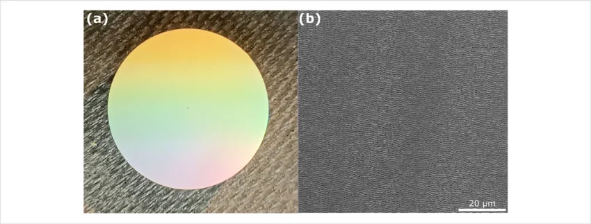 Titanium Alloys