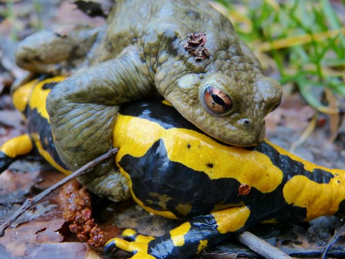 Common Mistakes That Cause Problems on Car Panels